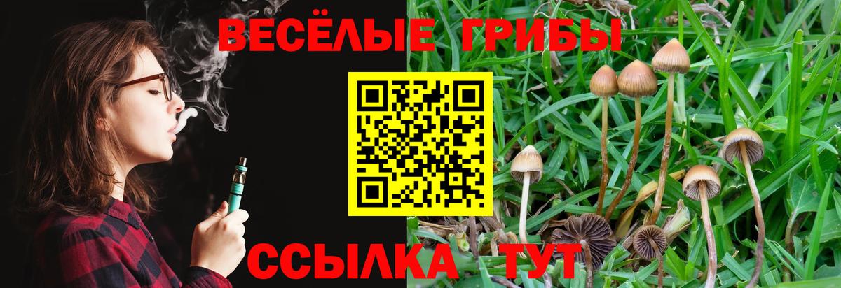 Псилоцибиновые грибы мухоморы Амурск